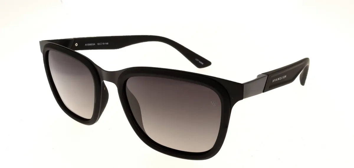 Main view of AVS6603A