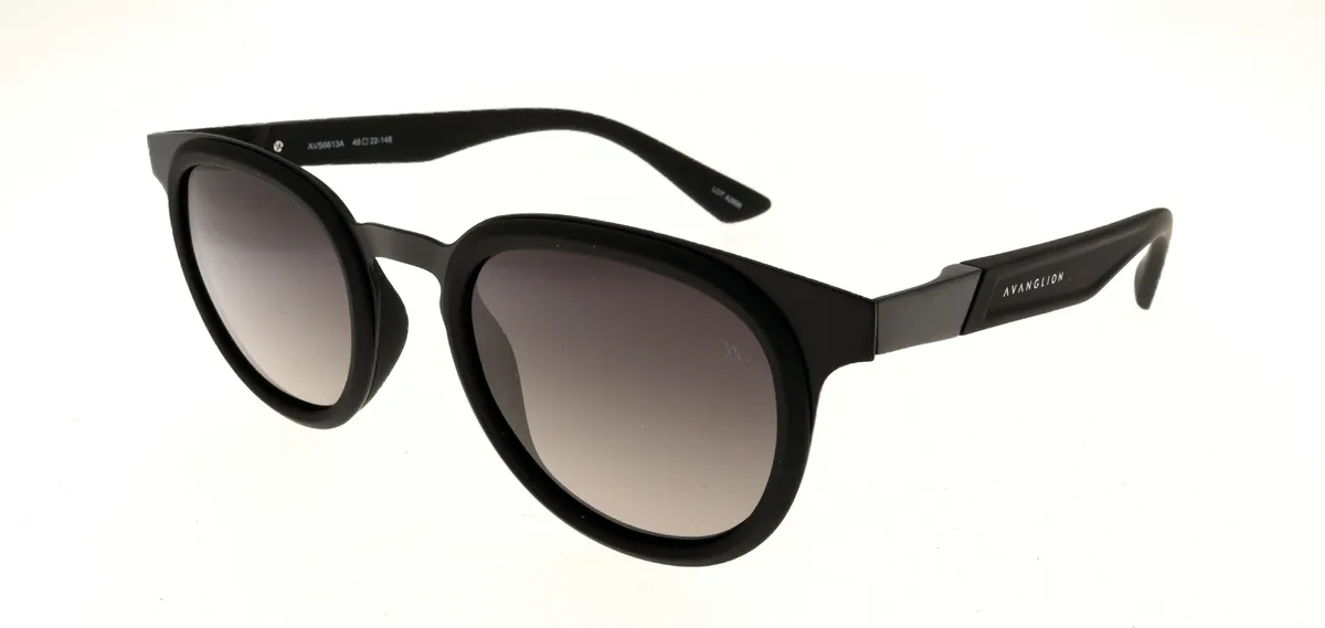 Main view of AVS6613A