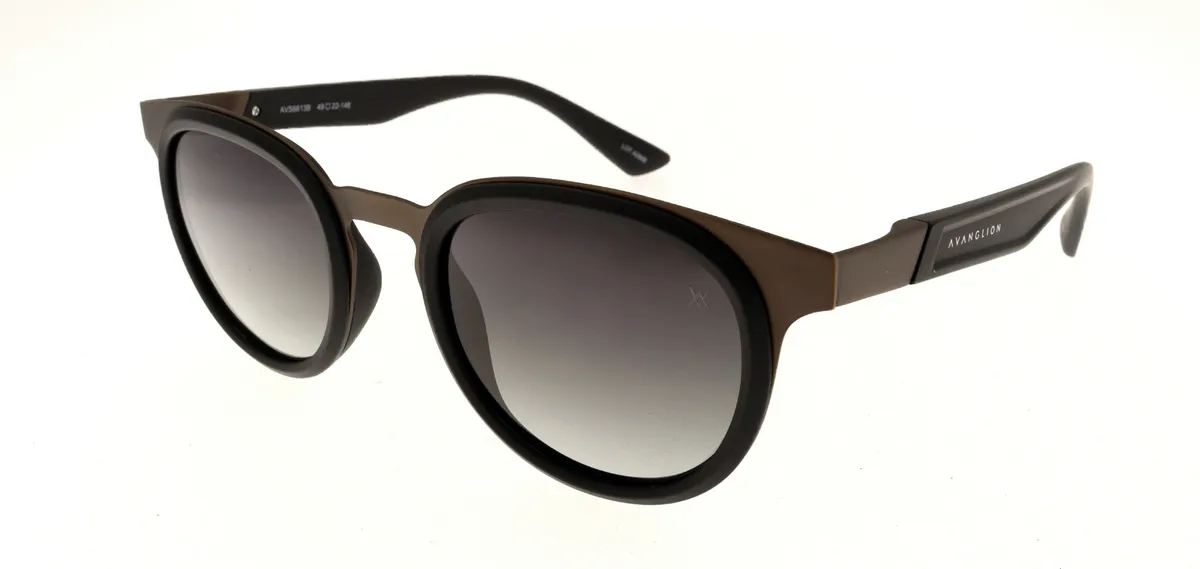 Main view of AVS6613B