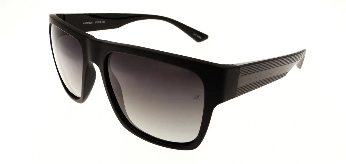 Main view of AVS7162C