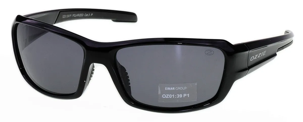 Main view of OZ 01-39 P1