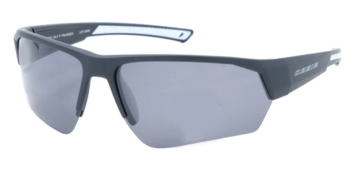 Main view of OZ 08-95 P1