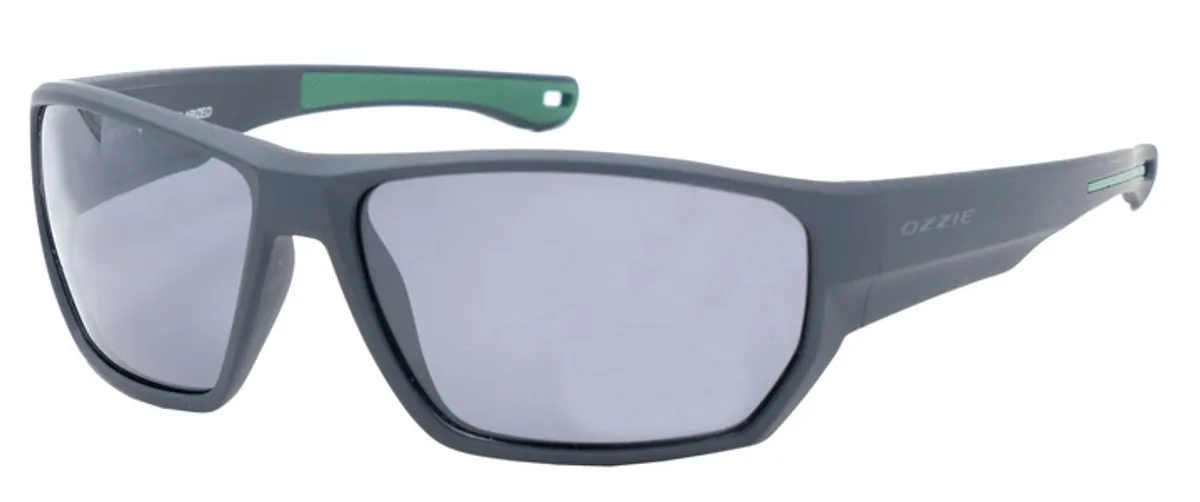 Main view of OZ 09-58 P1