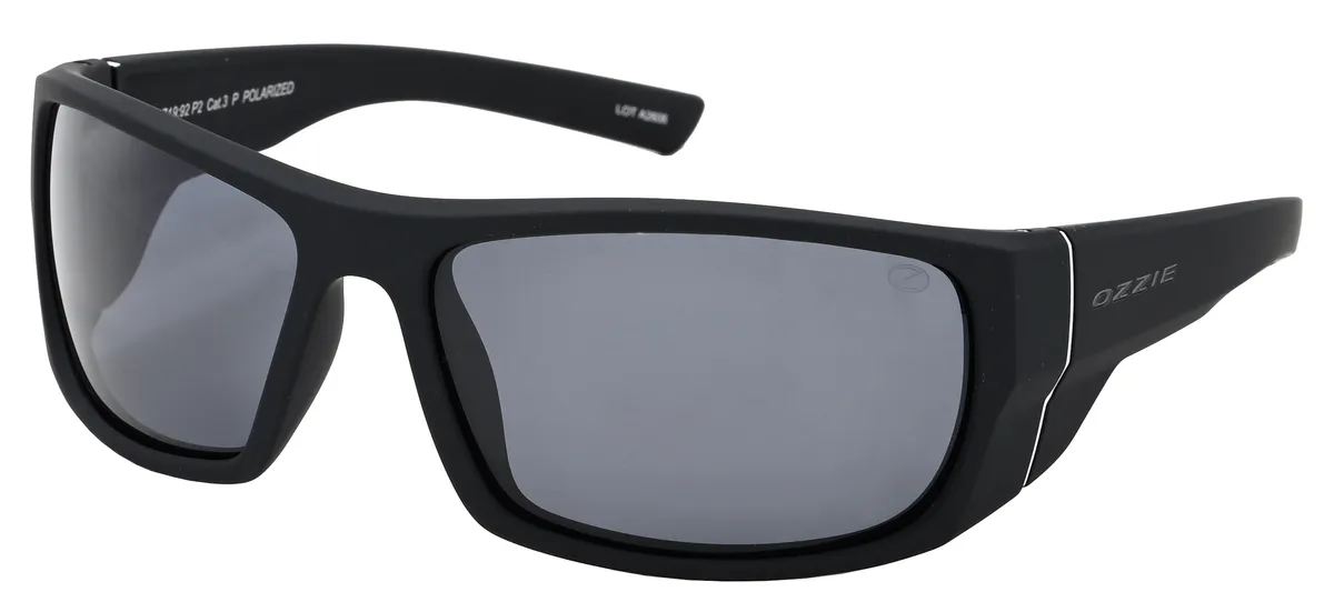 Main view of OZ 19-92 P2