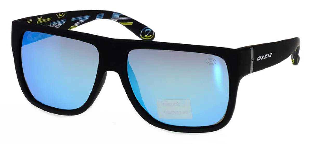 Main view of OZ 20-91 P6