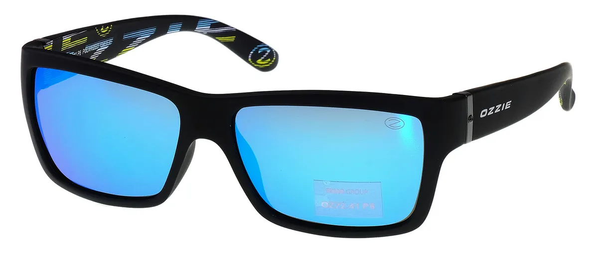 Main view of OZ 22-41 P6