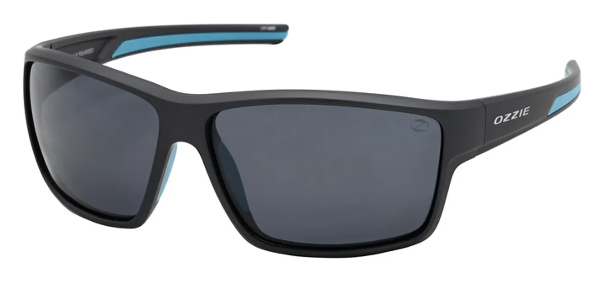 Main view of OZ 27-13 P6