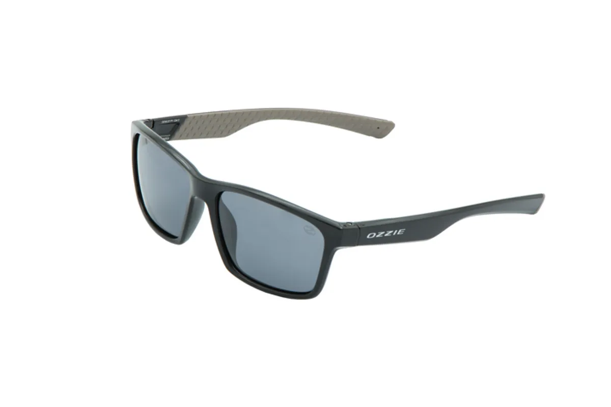 Main view of OZ 45-37 P1