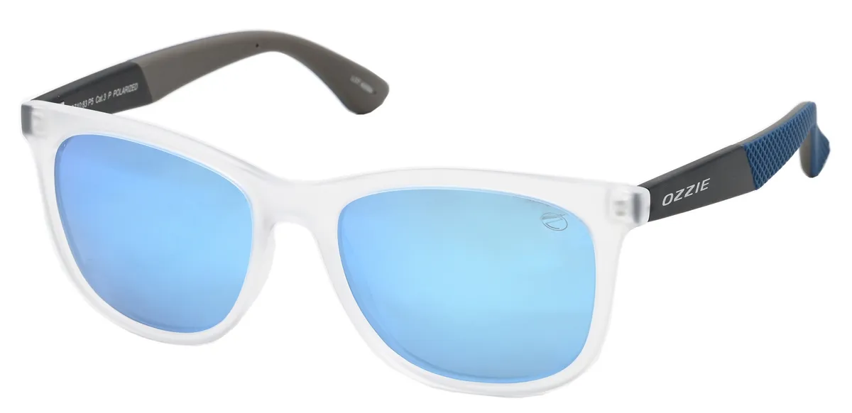 Main view of OZ10 83 P5