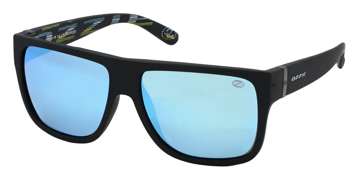 Main view of OZ20 91 P6