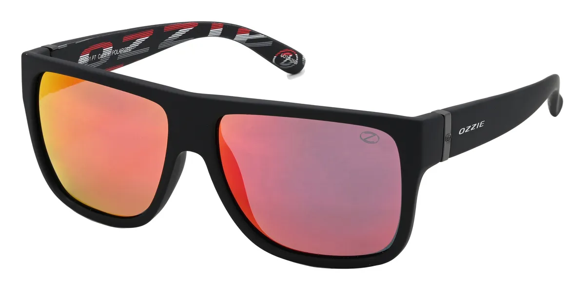 Main view of OZ20 91 P7