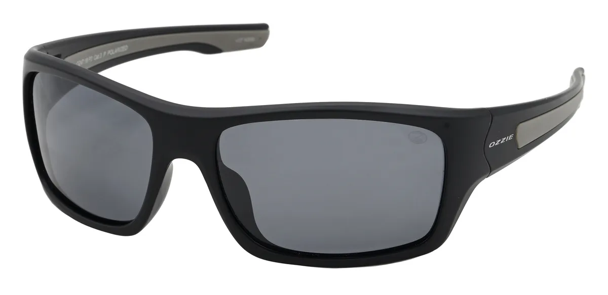 Main view of OZ47 18 P2