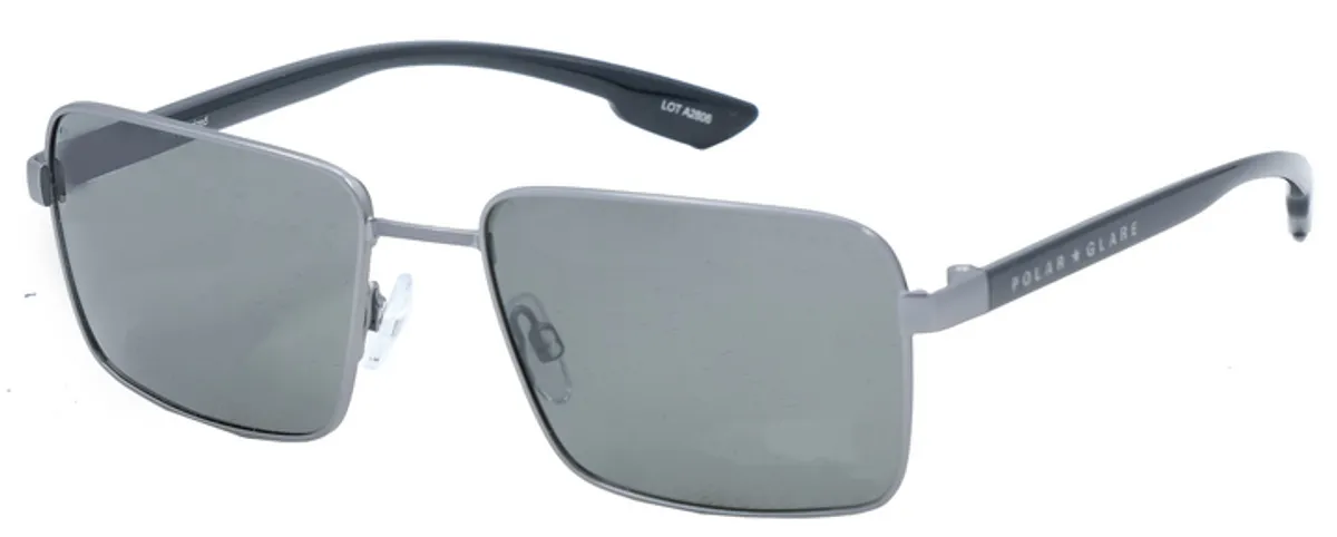 Main view of PG5279A