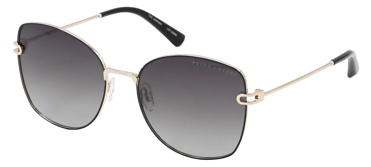 Main view of PG5460A