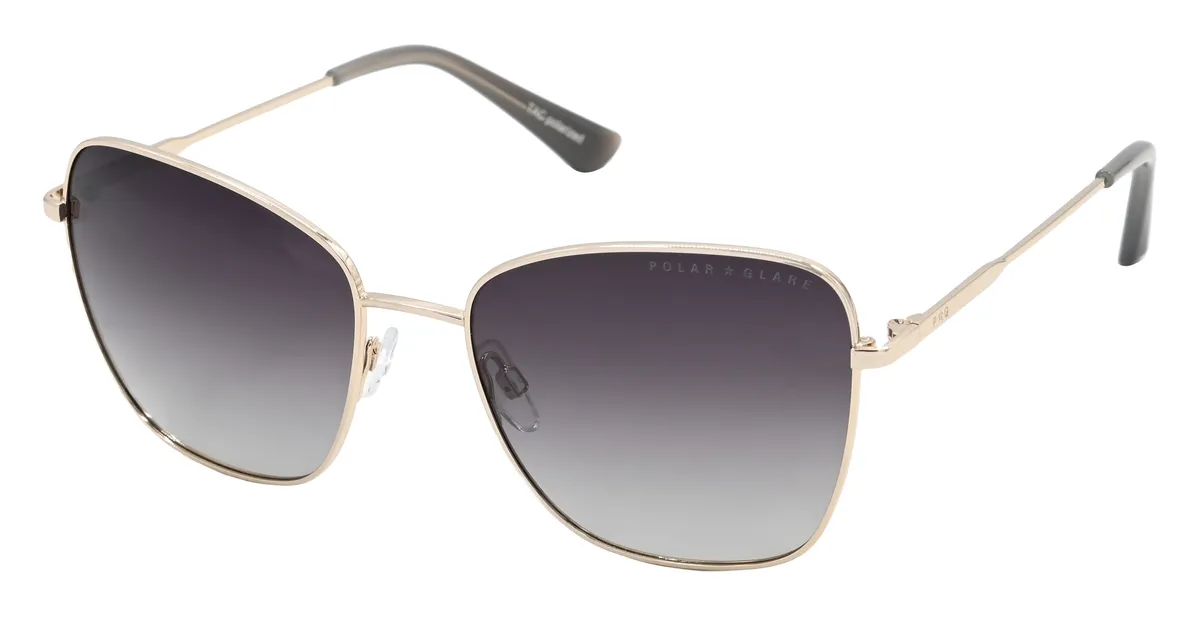 Main view of PG5496A