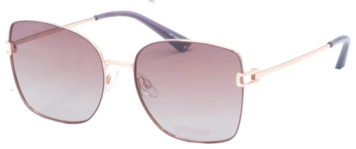 Main view of PG5513B