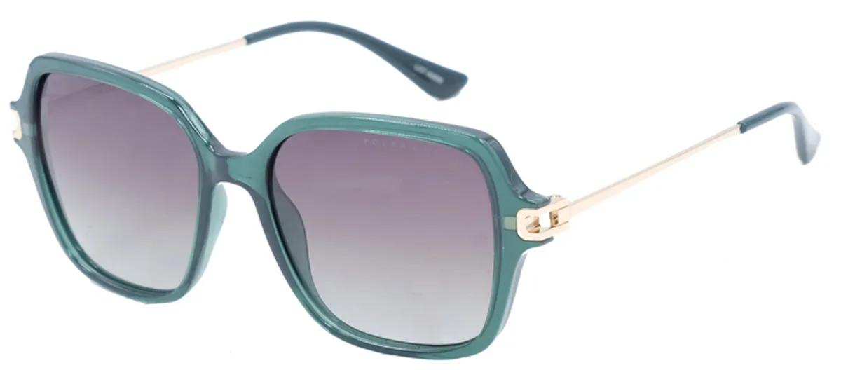 Main view of PG5616C