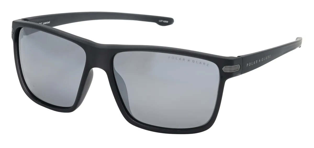 Main view of PG6006F