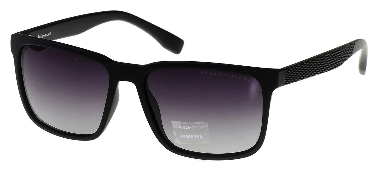 Main view of PG6056A