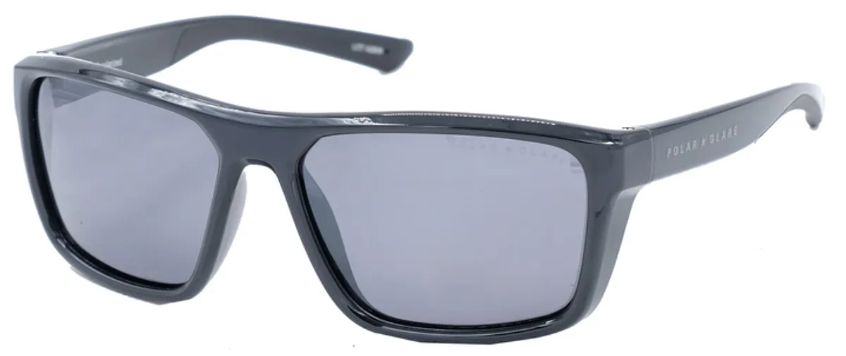 Main view of PG6108A