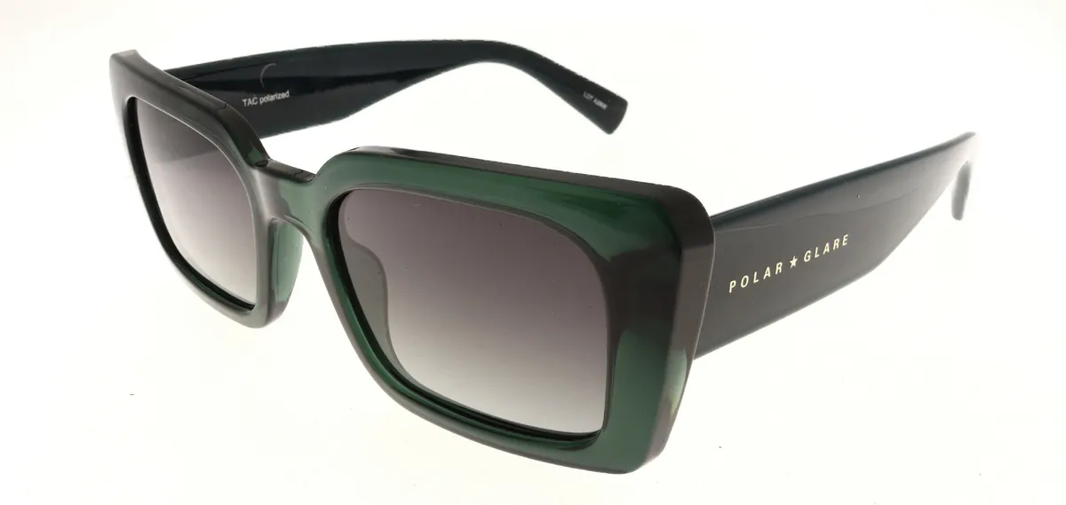 Main view of PG7154C