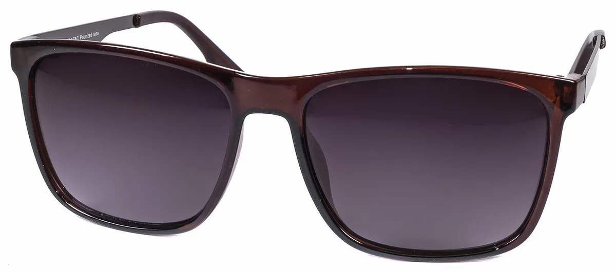 Main view of PV4490B