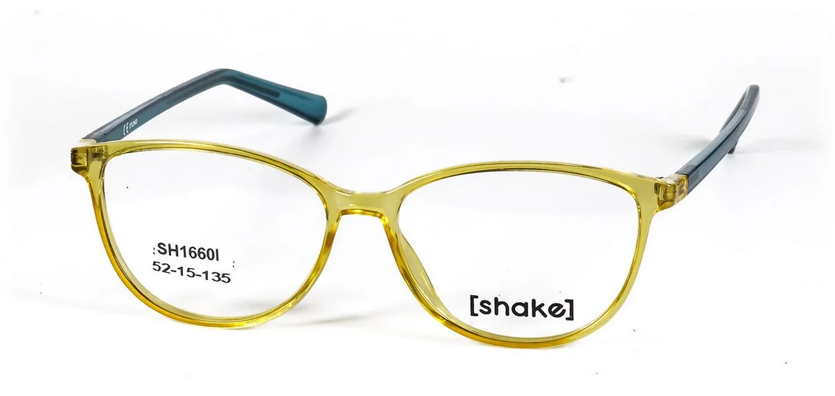 Main view of SH1660I