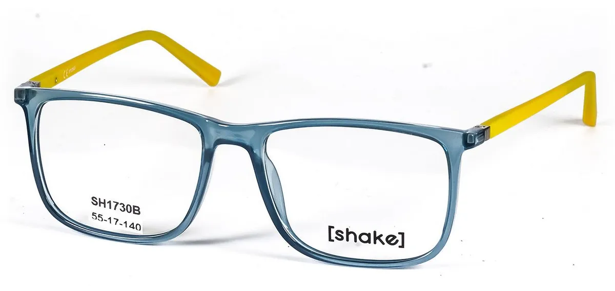 Main view of SH1730B