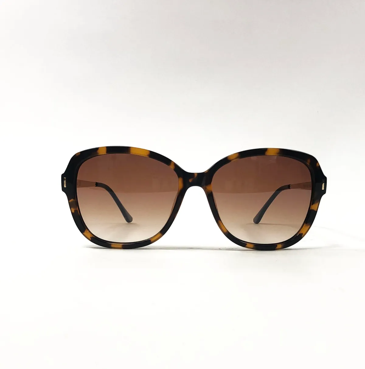 Main view of Forever-SF2019-C01