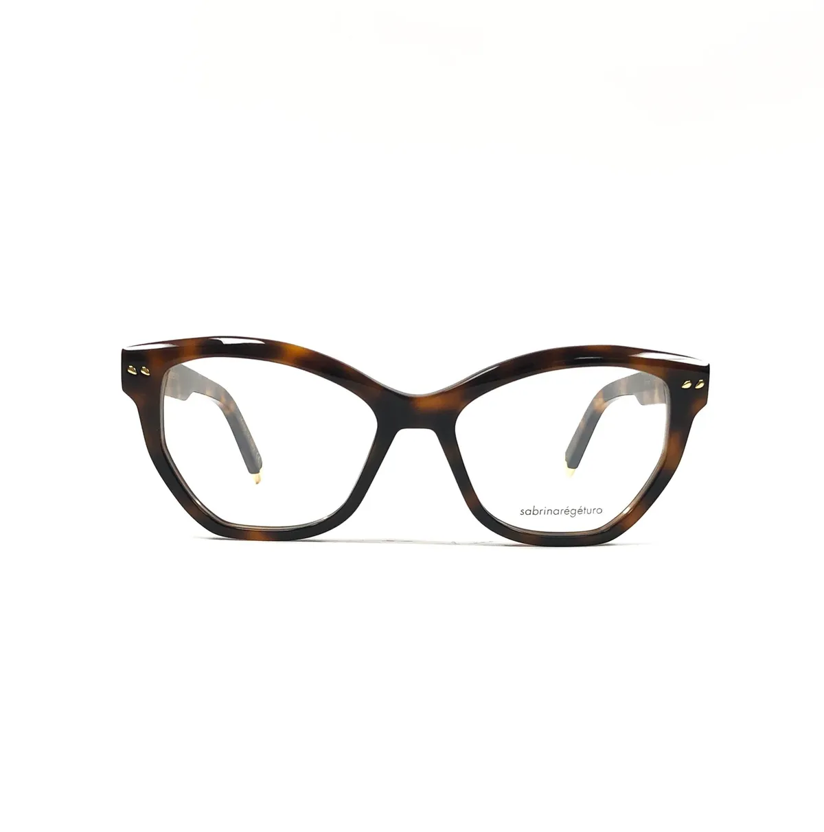 Main view of SabrinaRegeTuro-Montreal-Tartaruga