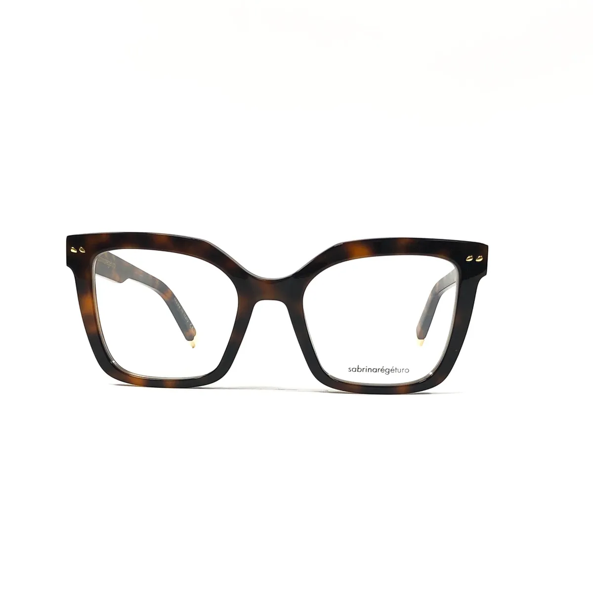 Main view of SabrinaRegeTuro-Ottawa-Tartaruga