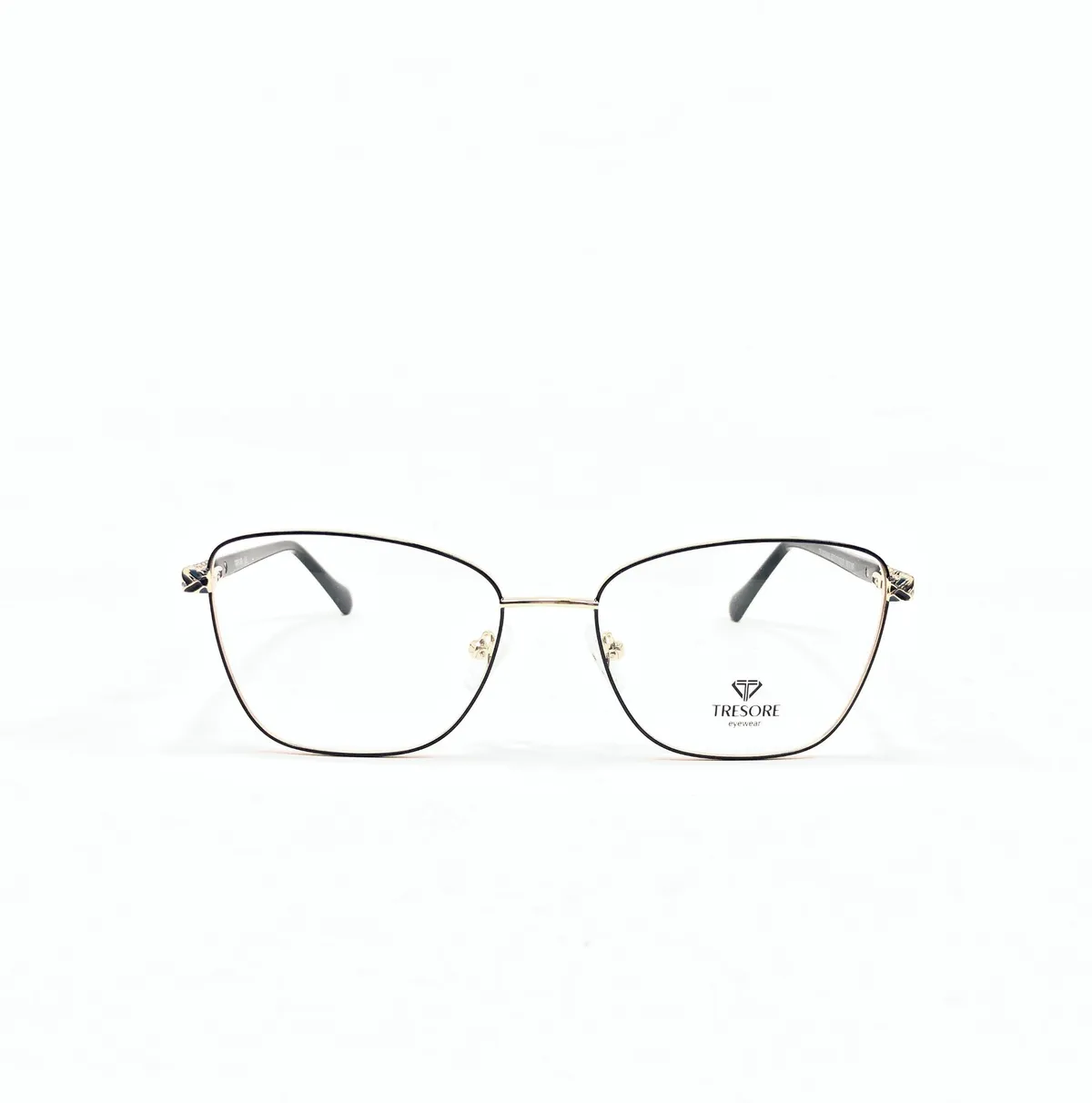 Main view of Tresore-TR-MG3945-C1